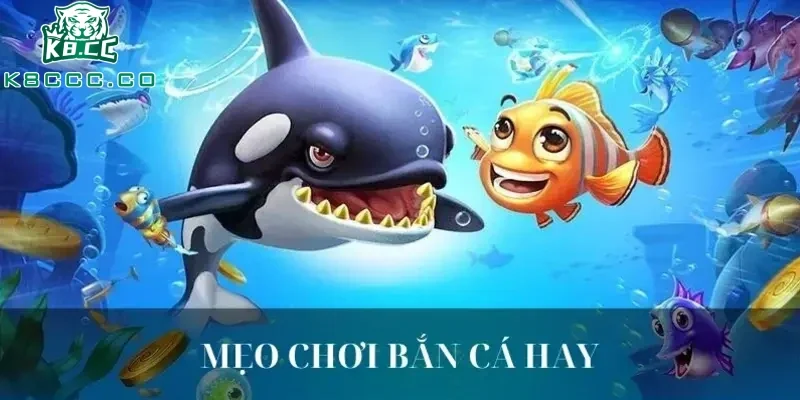 Mẹo chơi bắn cá hỗ trợ tăng cường xác suất thắng
