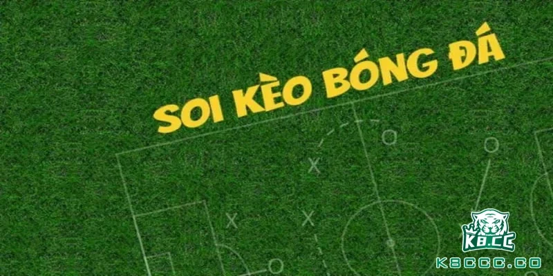 Đừng bỏ qua thông tin sân khách - sân nhà